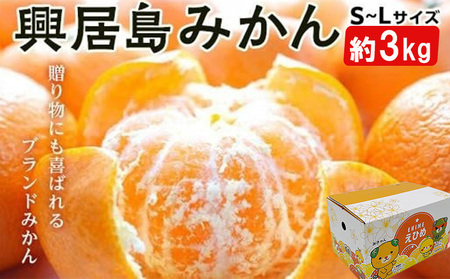 ★発送2025年11月下旬～★興居島みかん S～L サイズ 約3kg【FA0762】