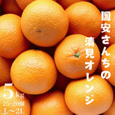 【まるで食べるジュース!越冬完熟品】愛媛産 清見オレンジ 5kg【D20−38】【1594848】