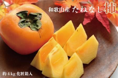 【秋の味覚】和歌山産たねなし柿2L～4Lサイズ約4kg（化粧箱入り）★2025年10月頃より順次発送【TM192】