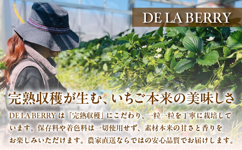 至福の凍果　章姫（あきひめ）500g×3袋・D037