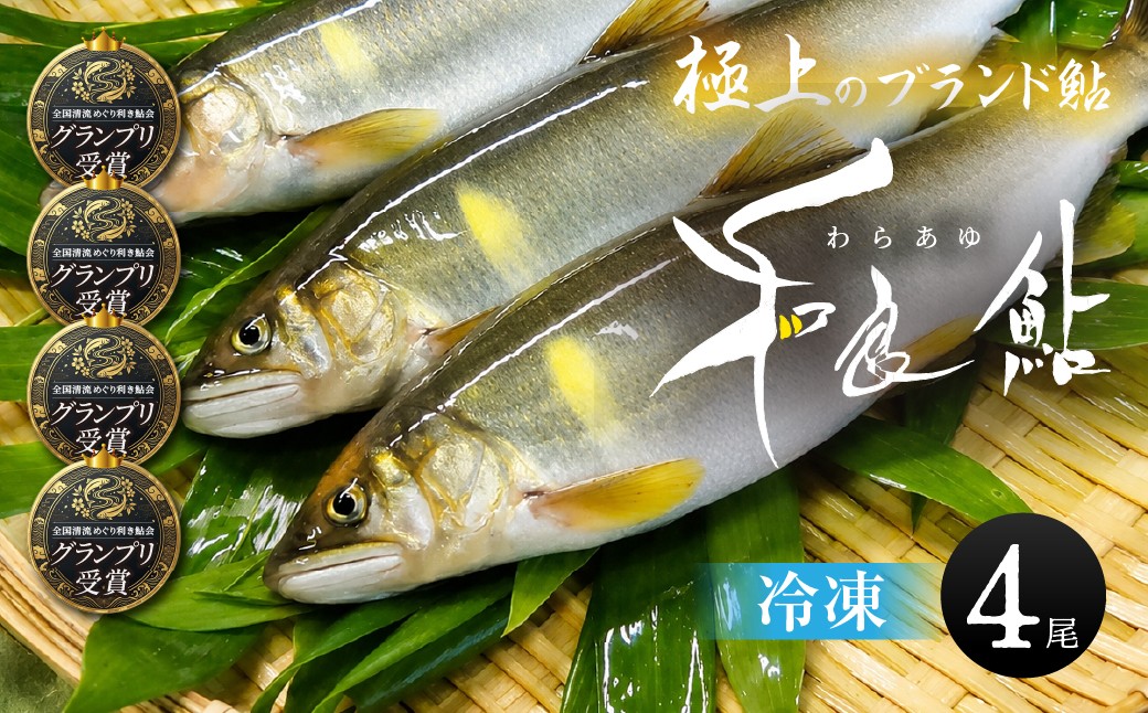 
                  極上ブランド鮎「和良鮎」4尾セット 冷凍 鮎 あゆ アユ 魚 さかな 川魚 河魚 塩焼き 贈答 ブランド 貴重 希少 ギフト お中元 BBQ バーベキュー 天然 わら わら鮎 活〆 大きい 大 サイズ 尾数 セット 詰め合わせ 選べる 岐阜県 郡上市
                