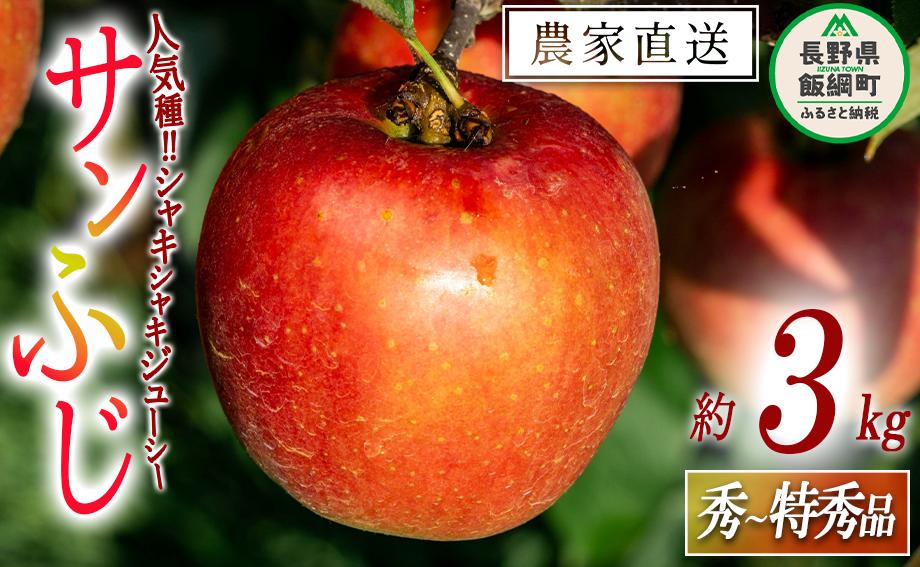 りんご サンふじ 秀  特秀 3kg 永野農園 沖縄県への配送不可 2025年12月上旬頃から2026年2月上旬頃まで順次発送予定 令和7年度収穫分 信州 果物 フルーツ リンゴ 林檎 長野 予約 農家直送 長野県 飯綱町 [0488]