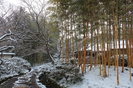 八幡市立松花堂庭園ペアチケット 庭園 美術館 利用券