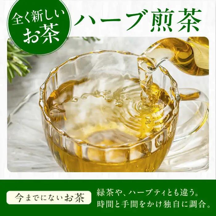 ネトルティーバッグ2.5g×10包 / ティーバッグ お茶[AFAG016]