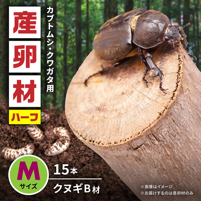 オリジナル産卵材 Mサイズ ハーフ カブトムシ クワガタ クヌギB材 【ふるさと昆虫】 [YDV016]