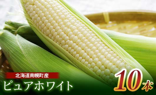 
            《先行受付》令和7年発送 北海道産 とうもろこし ピュアホワイト10本 朝採り 生食 産地直送 数量限定 期間限定 NP1-175
          