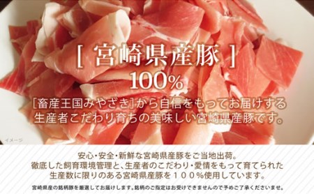 宮崎県産豚 普段使いセット 合計3kg ※60日以内に発送【B235】