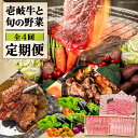 【ふるさと納税】【全4回定期便】《A4〜A5ランク》 壱岐牛と旬の野菜定期便《壱岐市》【壱岐市農業協同組合】 [JBO077] 冷凍配送 黒毛和牛 A5ランク 壱岐牛 肉 黒毛和牛 野菜 旬 詰め合わせ 贅沢 BBQ 98000 98000円