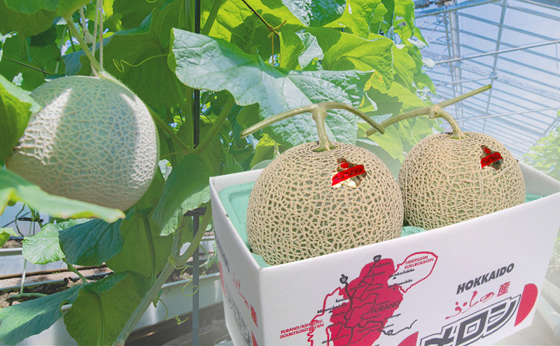 富良野産 キングメロン 大玉 2玉 秀品 計4kg 赤肉 メロン 富