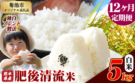 【12ヶ月定期便】熊本県産 肥後清流米 白米 5kg ブレンド米《お申込み翌月から出荷》 熊本県産 ふるさと納税 精米 米 こめ ふるさとのうぜい コメ お米 おこめ