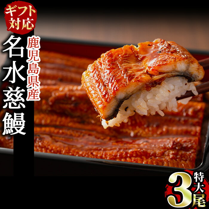 【ふるさと納税】【ギフト対応】うなぎ養殖日本一！鹿児島県産うなぎ蒲焼 名水慈鰻 特大3尾(1尾190g以上)＜計570g以上＞たれ・山椒付き 鰻 ウナギ 3尾 国産 蒲焼 かばやき 冷凍 真空 真空パック 無頭 うな重 ひつまぶし 父の日【鹿児島鰻】b1-024