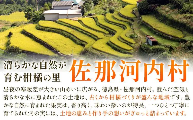ゆず 訳あり 柚子 約3kg ゆず