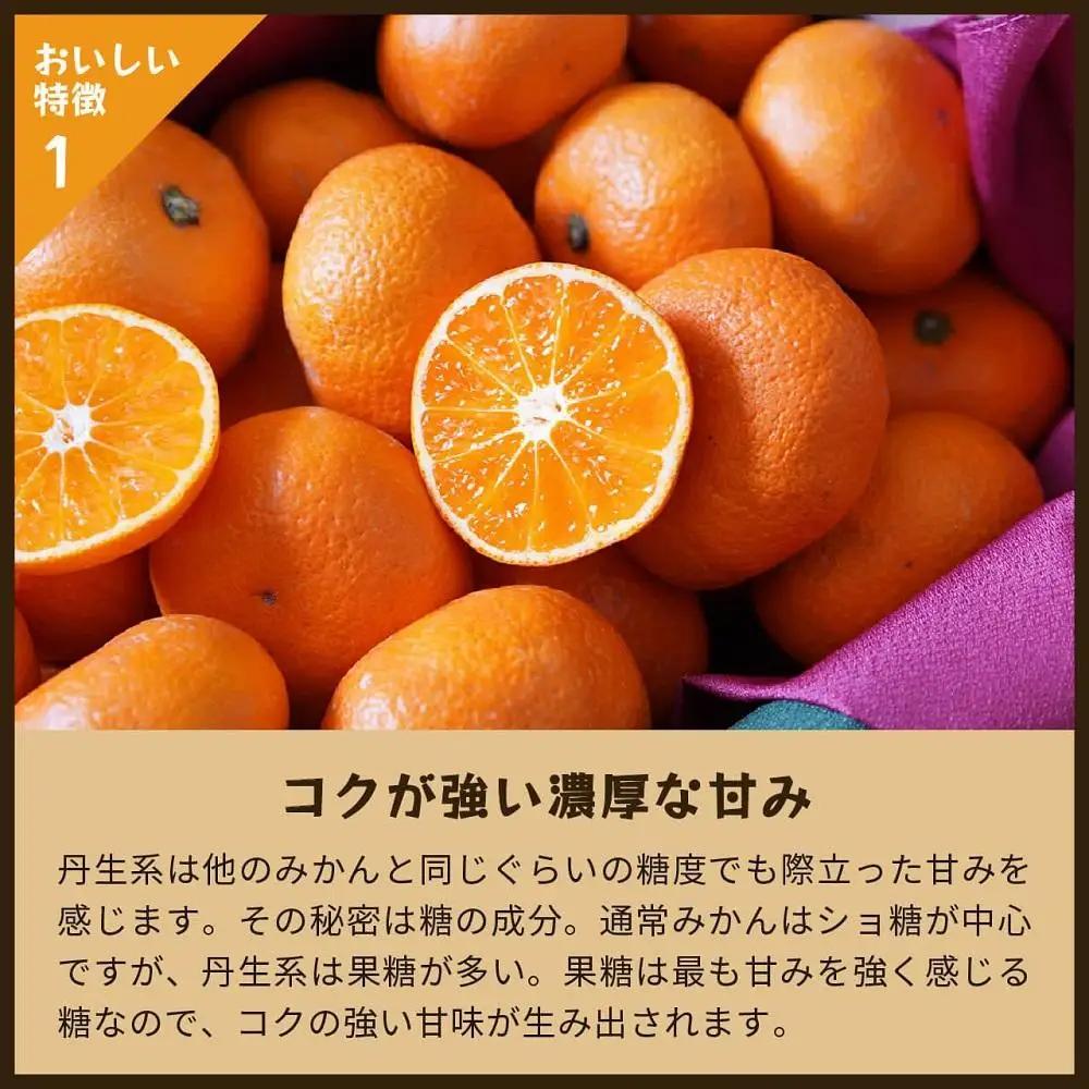 蔵出しみかん丹生系　5kg家庭用｜和歌山県海南市下津町の特産品蔵出しみかんの最高級品種を産地直送でお届け【2027年2月発送開始】
