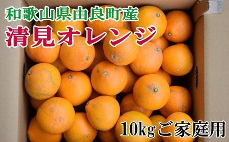 ［訳あり・ご家庭用］和歌山由良町産の濃厚清見オレンジ約10kg★2026年2月中旬頃より順次発送［TM132］