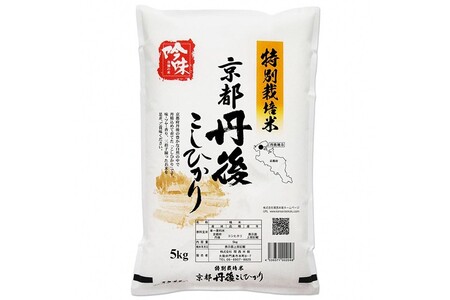 【米 5kg】特別栽培米こしひかり 5kg 米