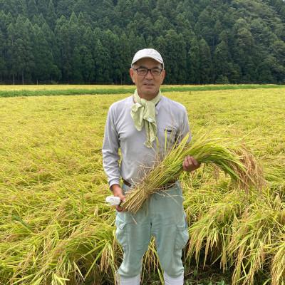 ふるさと納税 福知山市 【毎月定期便】衣川の男米コシヒカリ 玄米 5kg【京都府福知山市】全12回 |  | 01