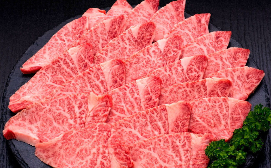 【訳あり】 博多和牛 ヒレ焼肉 600g×1パック