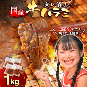 牛肉 焼肉 国産 特製たれ漬 牛ハラミ サガリ 1kg [宇美ホルモン 福岡県 宇美町 um40azp100005] ハラミ はらみ 牛はらみ 小分け 個包装 牛 肉 焼き肉 ホルモン タレ漬け たれ漬け