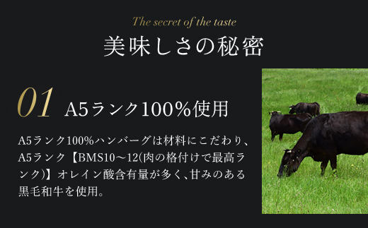 お肉ソムリエ監修! ＜A5ランク 100%黒毛和牛ハンバーグ 5個＞ ふるさと納税 人気 厳選 ハンバーグ はんばーぐ A5ランク 黒毛和牛 肉 お肉 牛肉 弁当 惣菜 冷凍 京都府 福知山市 FCA