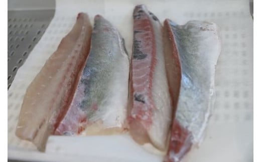 指宿産 菜の花かんぱち1尾(指宿山川水産/033-1270)