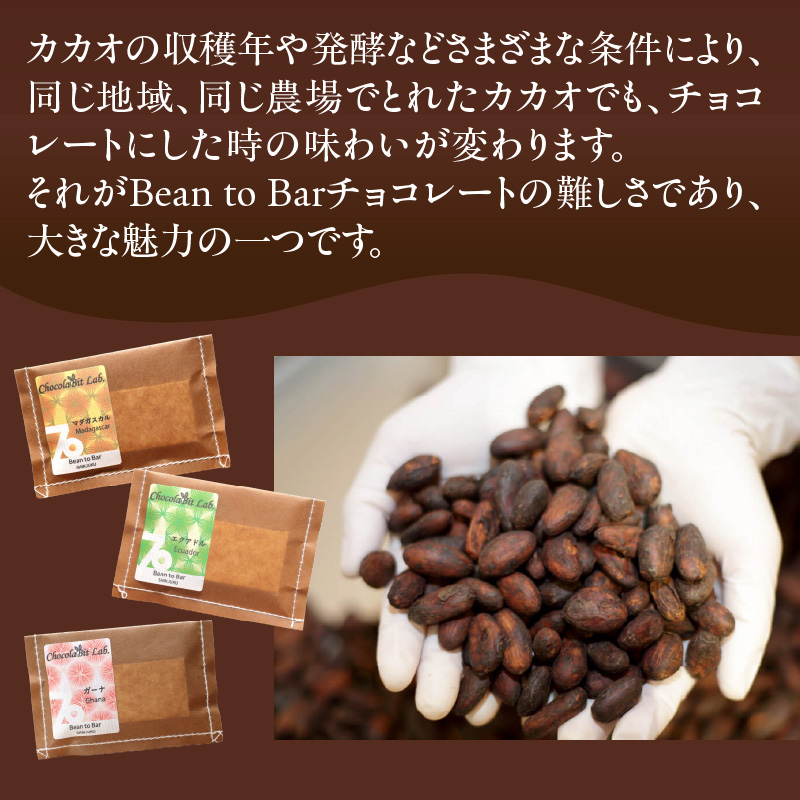 Bean to Bar チョコレート詰め合わせ