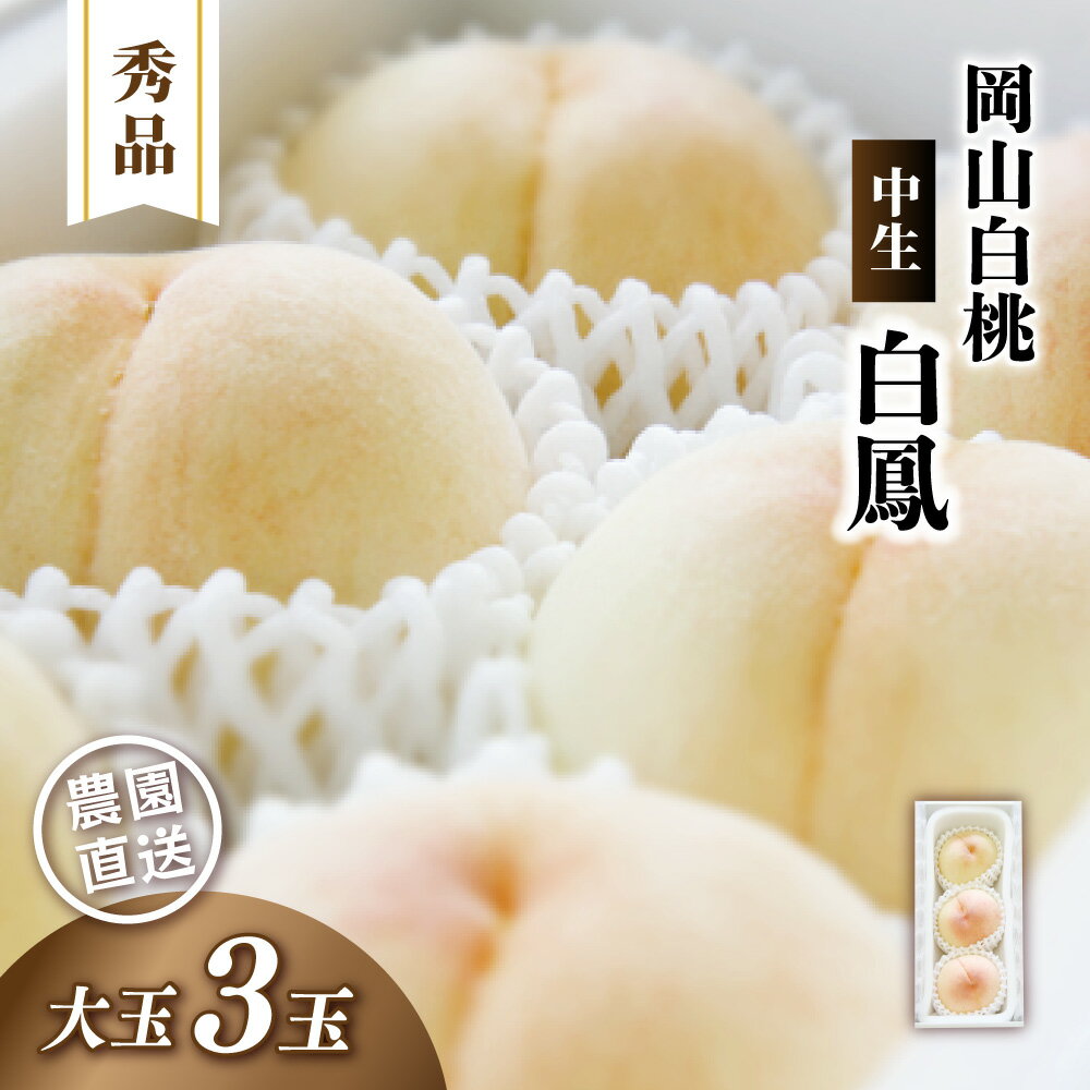 【ふるさと納税】 岡山白桃 白鳳 秀品 大玉3玉 【2026年先行予約】 白桃 はくほう 贈答 お中元 ギフト 産直 高級 フルーツ 果物 くだもの プレゼント 【配送不可地域：北海道／沖縄県／離島】 momo30