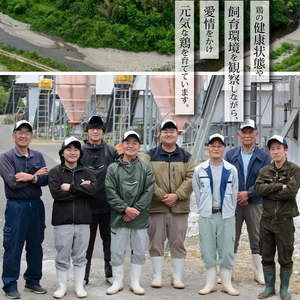 地鶏 焼鳥 もも串 80本 高級 阿波尾鶏 小分け 大容量 鶏肉 鶏もも 焼き鳥 冷凍