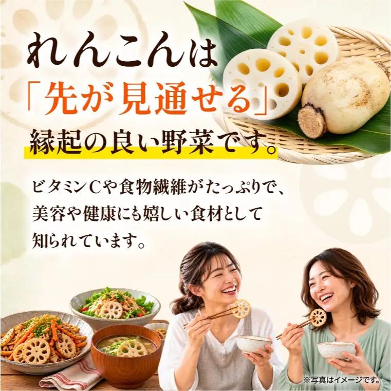 先行予約 れんこん 5kg お多福れんこん 蓮根 レンコン 農家直送 産地直送 新鮮 野菜 根菜 有機肥料 【2026年9月より順次発送】（111-02）