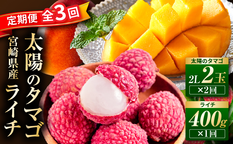 《2026年発送先行予約》【数量・期間限定】【全3回】太陽のタマゴ・ライチ定期便 太陽のタマゴ 糖度15度以上 マンゴー ブランドマンゴー 濃厚 甘み 芳醇 完熟 ライチ 果物 フルーツ 果実