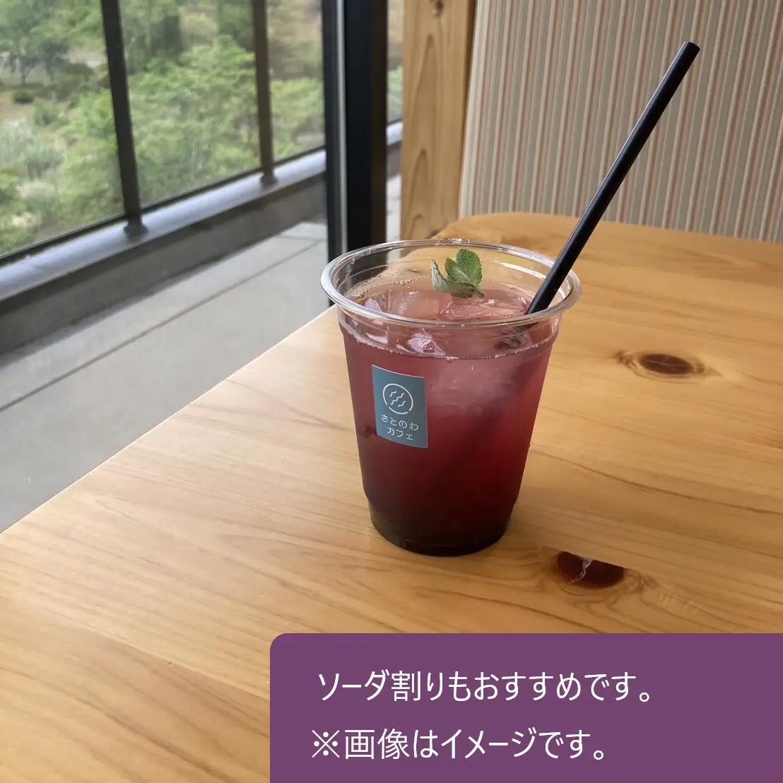 ブルーベリーソース＊１０５ｇ × ２瓶