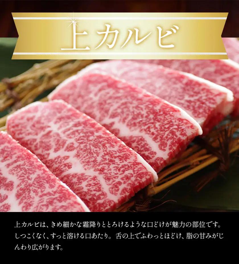 家族で楽しむ さつま福永牛 上カルビ 焼肉用 1kg 《30日以内に出荷予定(土日祝除く)》