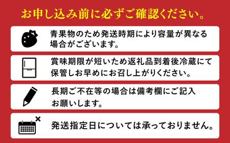 【先行予約！2025年1月中旬より順次発送】産地直送 あまおうDXセット 約1kg いちご イチゴ 苺 フルーツ 果物 旬 福岡県産 広川町/JAふくおか八女農産物直売所どろや[AFAB004]