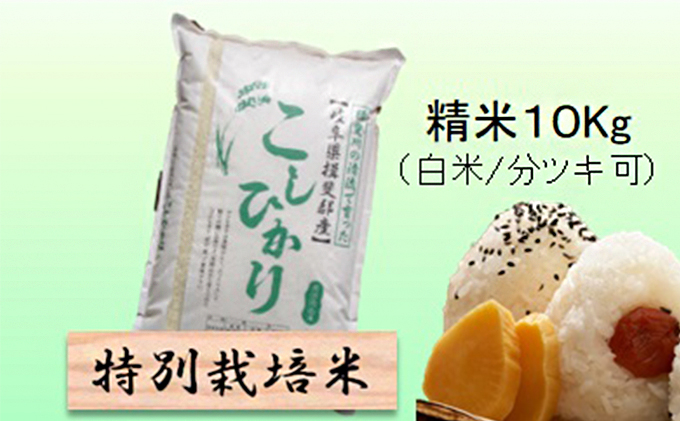 
            特別栽培米★精米10kg（白米/5分/7分ツキ可）【コシヒカリ】 玄米は別に出品 [№5644-1378]
          