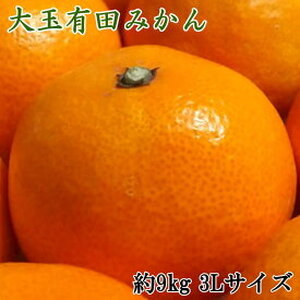 【2026年先行予約】【食べごたえ十分・秀品】 和歌山 有田みかん 大玉 9kg (3Lサイズ)_ZD6321n