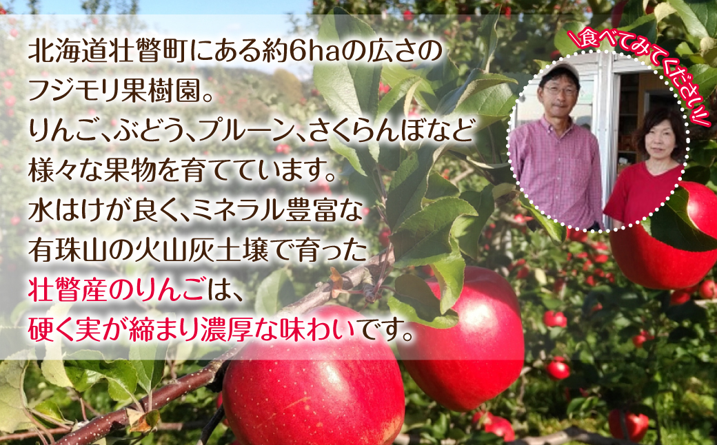3月発送！北海道壮瞥町　りんご(スマートフレッシュ)　品種名「シナノスイート」12～18玉 約5kg　SBTF026