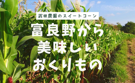 ［武田農園とれたて直送］スイートコーン ゆめのコーン  2L 10本 みずみずしく抜群にあまい！北海道 富良野産 (とうもろこし 野菜 新鮮 とうきび 甘い 産地直送 先行予約 限定)