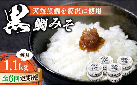 【全6回】味噌 黒鯛みそ1120g 味噌[XBW042]