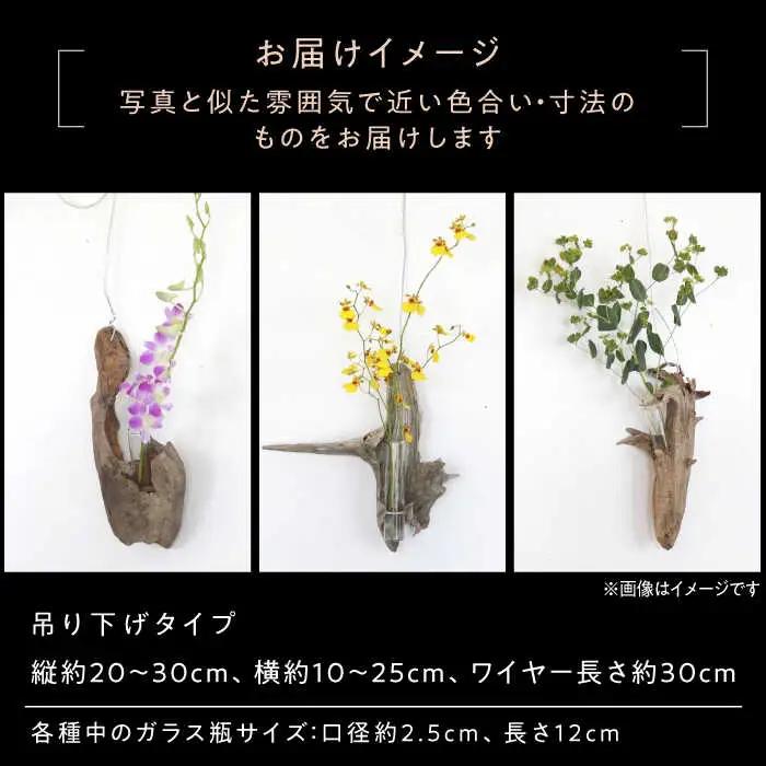 Driftwood FlowerBase 流木一輪挿し フラワーベース 糸島市 / WOOD'ARBRE(ウッドラヴル)【TIME】 インテリア 雑貨 一輪挿し [ADC003]