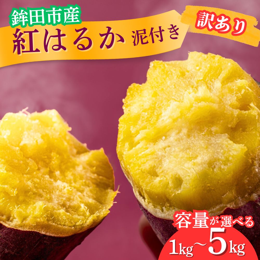 【ふるさと納税】 さつまいも 紅はるか 訳あり （A品不揃い） 1kg ～ 5kg 泥付き