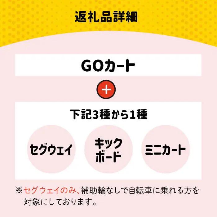 ＜各30分利用券＞ゴーカート＆セグウェイ・キックボード・ミニカートの中から１種類 吉野ヶ里/e-ビークルパーク レジャー 乗り物 のりもの アウトドア 遊び 利用券[FCS003]