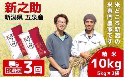 令和7年産 新米 【 定期便 3ヶ月 】 米 10kg ( 5kg × 2袋 ) × 3回 五泉産 新之助 | 白米 精米 しんのすけ お米 おこめ 新潟県 五泉市 わくわく農場