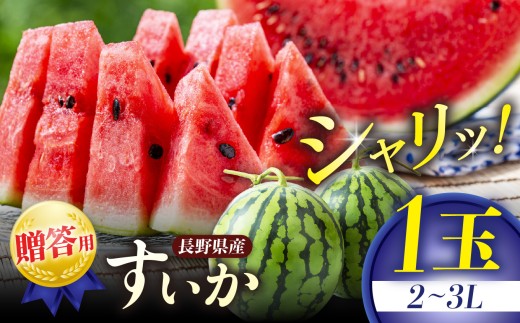 2026年先行予約 贈答用 信州松本平産 西瓜 ２～３L １個　～高原の恵みが生んだ、甘くみずみずしい夏の味～ │ すいか スイカ 野菜 夏 果物 新鮮 自然 甘い 美味しい 長野県 信州 松本 ふるさと納税