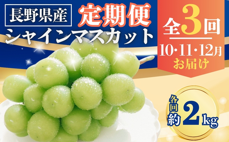 【2026年先行予約】【定期便3回】シャインマスカット 約2kg×3回 (2026年10月/11月/12月発送)| シャインマスカット