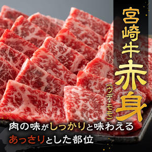 【令和7年12月発送】宮崎牛赤身霜降り焼肉2種 800g 【 肉 牛肉 国産 宮崎県産 宮崎牛 黒毛和牛 和牛 焼肉 BBQ 4等級 A4ランク 肩ロース ウデ モモ 】[E11124r712] 【令