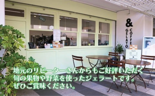 ジェラート 2L 500ml ✕ 4種類 セット 大容量 アイス 卵不使用 おまかせ 詰め合わせ 手作り アイスクリーム あいす じぇらーと スイーツ デザート 果物 野菜 旬 フルーツ プレゼント