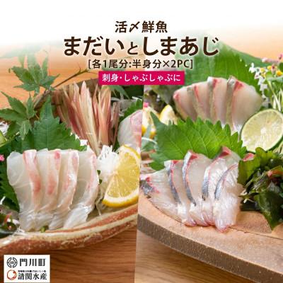 ふるさと納税 門川町 活〆真鯛としまあじのお刺身セット(合計約800g〜1kg)(門川町)