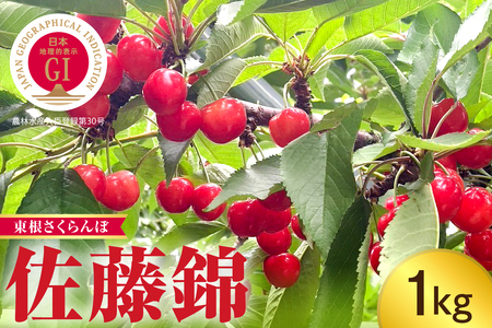 【2025年産】GI「東根さくらんぼ」佐藤錦 1kg（500gバラ詰め×2パック） Lサイズ 山形県 東根市 hi074-012-1 GI 東根さくらんぼ 佐藤錦 期間限定 冷蔵配送 先行予約 先行受付