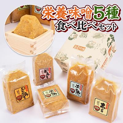 ふるさと納税 筑後市 栄養味噌5種　食べ比べセット