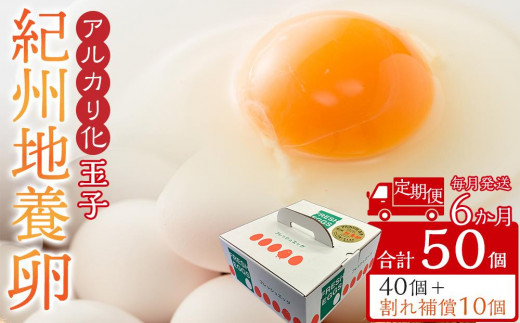 
                  【定期便 毎月発送 全6回】 アルカリ化 玉子 紀州地養卵 合計 50個入 (40個＋割れ補償分10個）× 6回　卵 たまご 玉子 タマゴ 鶏卵 まとめ買い オムレツ 卵かけご飯 朝食 業務用
                
