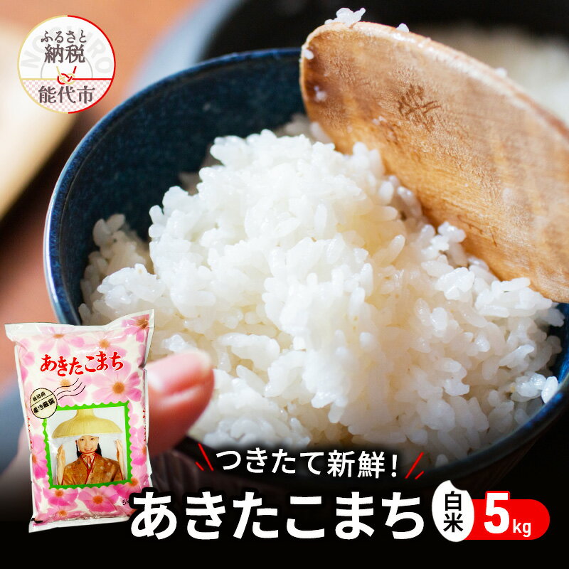 【ふるさと納税】白米 ★つきたて新鮮★ うまい!! 本場のあきたこまち 5kg 精米 ご飯 ブランド米 おにぎり 令和7年産 産地直送 おこめ ごはん 秋田県 秋田 能代市　お届け：2026年1月中旬頃より順次発送予定